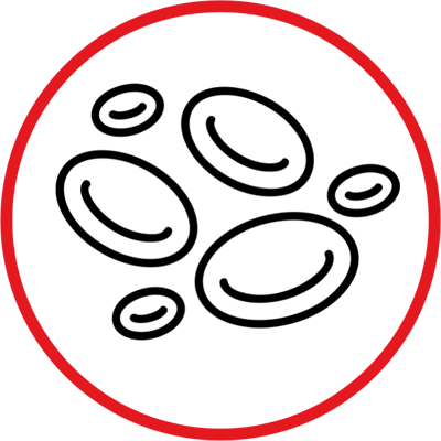 Anemia