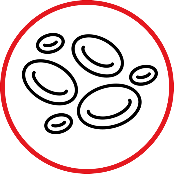 Diagnostics-IND-Product-ELISA-Anemia