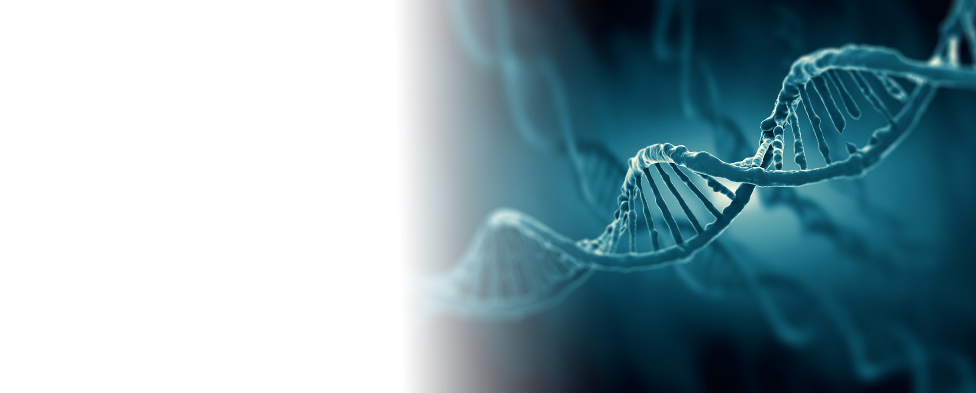  Oligonucleotide Therapeutics Chromatography Solutions