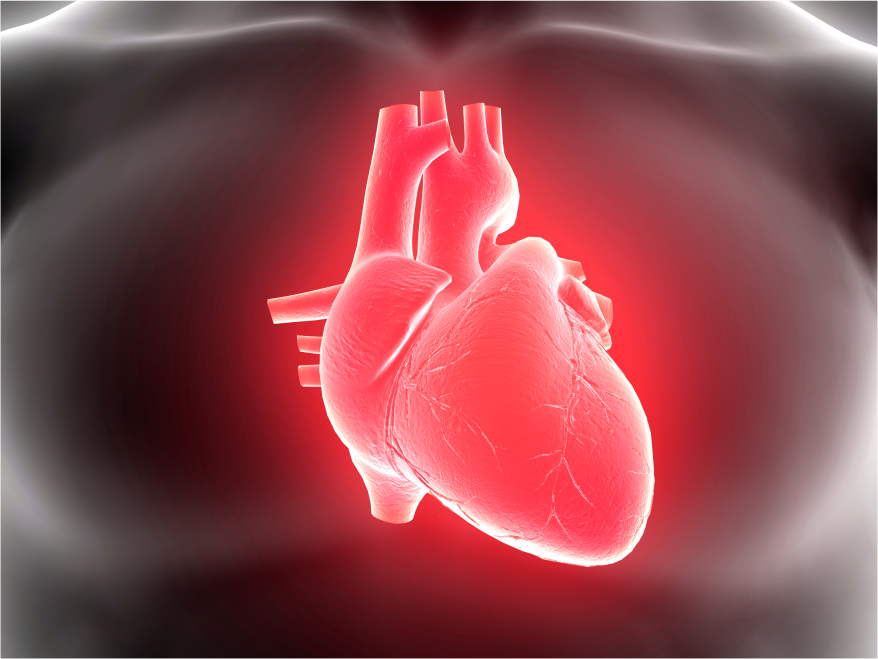 Diagnostics-IND-SPgs-Cardiac