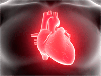 Diagnostics-IND-SPgs-Cardiac