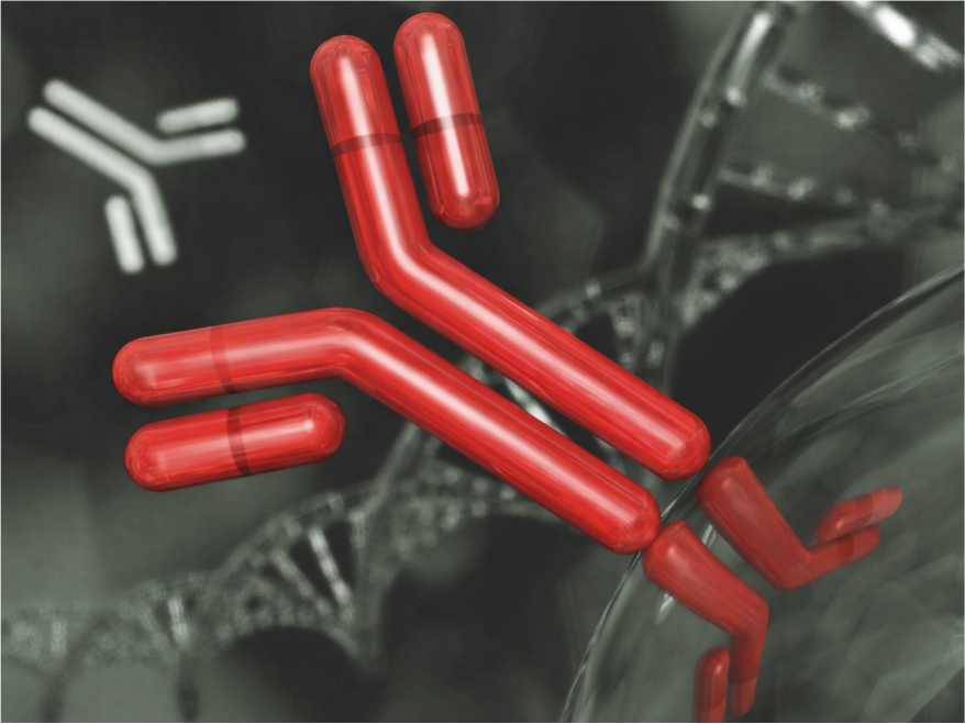 Diagnostics-IND-SPgs-AutoimmuneDisorders