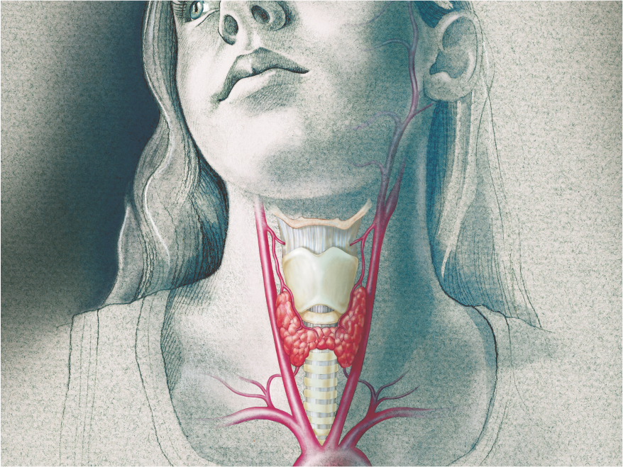 Diagnostics-IND-SPgs-Thyroid