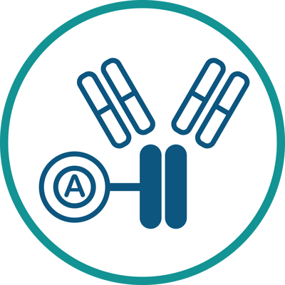 Protein A