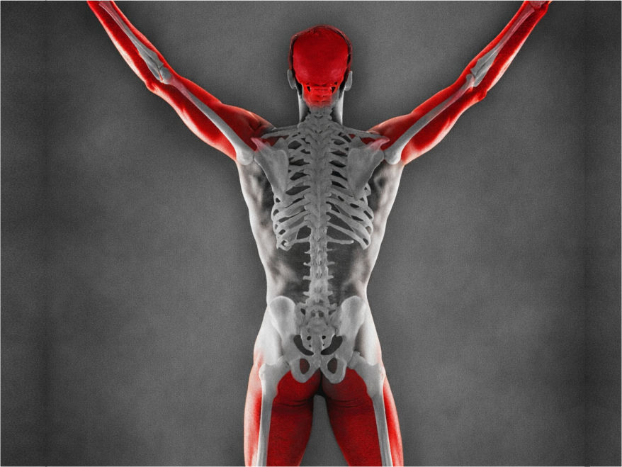 Diagnostics-IND-SPgs-Bone Disorders