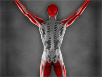 Diagnostics-IND-SPgs-Bone Disorders