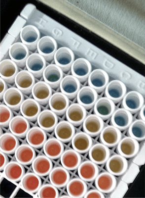 Diagnostics-IND-Products-CLIA