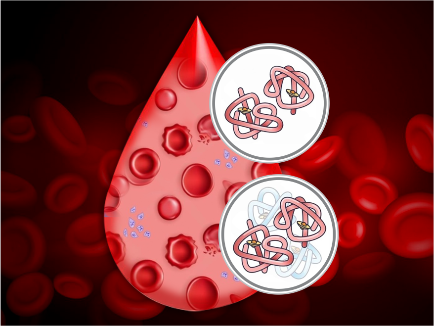 Diagnostics-IND-SPgs-Beta-Thalassemia