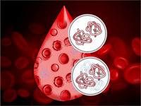 Diagnostics-IND-SPgs-Beta-Thalassemia