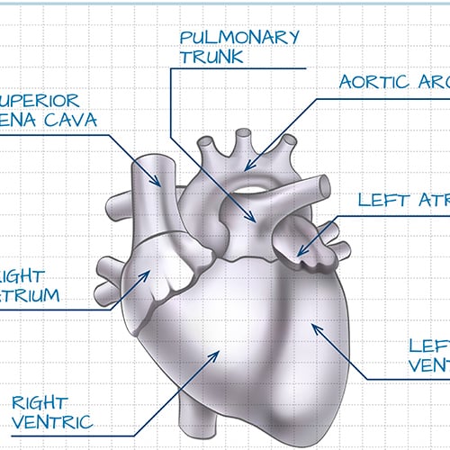 DIA-CN-Homepage-Resource-Kepu