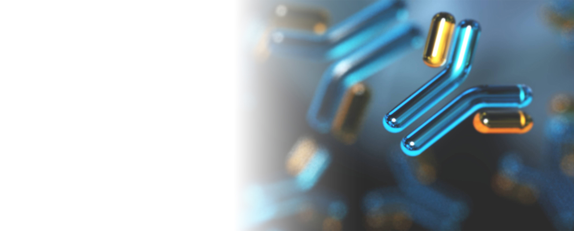 Robust mAb Capture Hero Banner