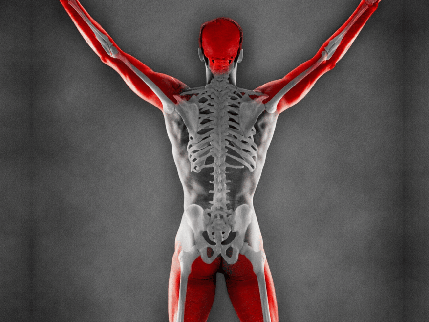 AIA Bone | Tosoh Bioscience