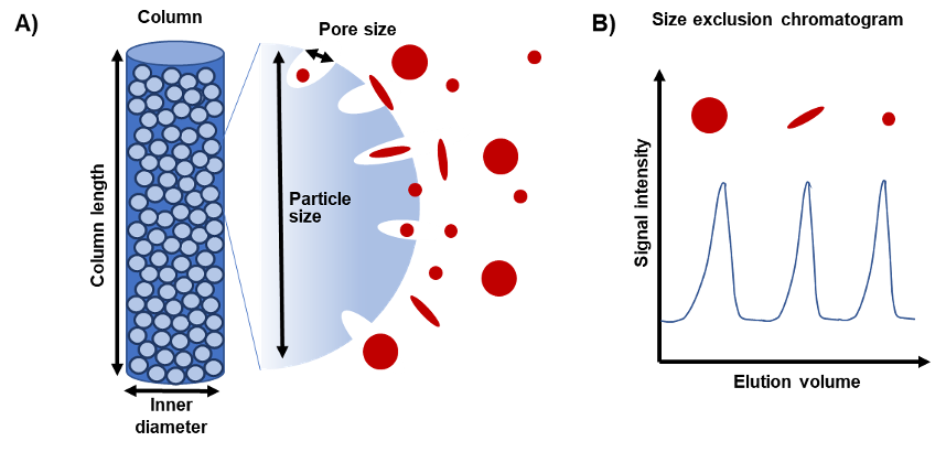 Size Exclusion Chromatography Columns | Tosoh Bioscience